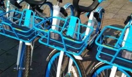 玉林自行车爆料最新消息