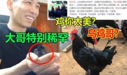 福清鸡哥爆料事件真相视频,揭秘真相背后的惊人内幕