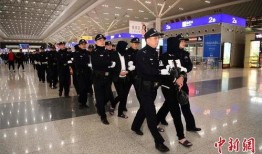 郑州公安局爆料事件视频,揭秘背后真相