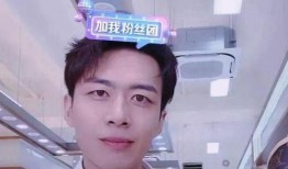 秃崽被爆料视频全集下载,揭秘事件真相与幕后黑幕