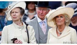 安妮公主最新爆料图片,揭秘王室生活幕后真相