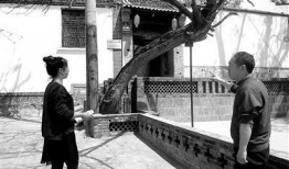 沙河村最新爆料事件新闻,揭秘事件背后惊人真相