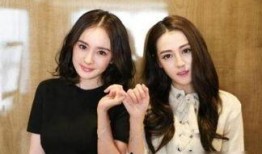 女主爆料娱乐圈瓜的小说,女主爆料，揭开明星背后的秘密