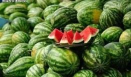 庞博文吃瓜免费观看,免费观看，一网打尽热门话题