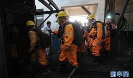 河南平顶山爆料事件视频,揭露惊人真相，引发社会关注