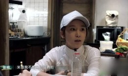 吴京媳妇爆料了吗视频,揭秘背后真相