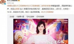 娱乐大爆料蓝心,揭秘明星幕后故事