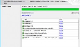 sp实践在线观看,深度解析与精彩回顾