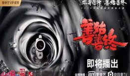 善始善终在线观看,一部扣人心弦的在线观看剧情回顾