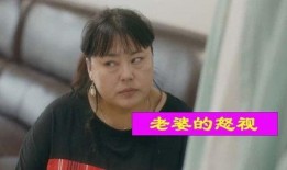 邪魅老婆爆料视频大全,揭秘娱乐圈背后的秘密与真相