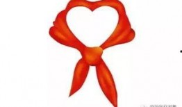 西安体育局爆料新闻视频,最新体育赛事动态与政策解读