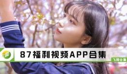 87在线视频观看视频,精彩内容一网打尽，深度解析不容错过