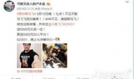 一飞直播爆料视频大全,揭秘幕后真相与精彩瞬间