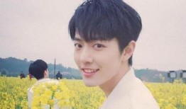 杨紫和肖战最新爆料直播,揭秘幕后故事与精彩瞬间