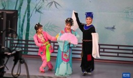 二人转演员直播爆料视频,独家爆料令人震惊