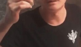 子安岳父最新爆料,惊人内幕曝光，真相令人震惊！