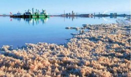 青海盐湖爆料案件最新,揭开神秘盐湖背后的惊人真相