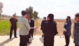 肥东县政府爆料案件最新,案件进展及处理情况揭晓