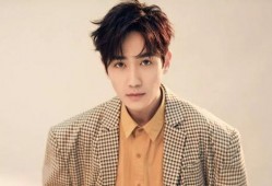 爆料大马网红是谁呀视频