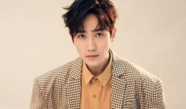 爆料大马网红是谁呀视频