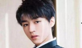 爆料王俊凯娱乐圈,揭秘明星背后的故事