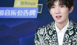 娱乐爆料王源成分析,娱乐爆料王，揭秘明星幕后故事