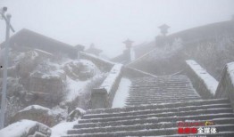 岱宗爆料视频,独家内幕大公开