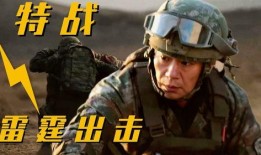 雷霆突击在线观看,热血激战，在线观看，燃情演绎