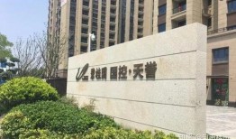 碧桂园爆料事件视频最新,工程疑云与内部矛盾激化