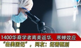 寒蝉效应在线观看,在线观看背后的心理奥秘