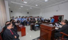 石家庄家庭爆料案件最新,惊人真相揭露背后隐情