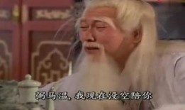 情劫1993在线观看,重温经典爱情故事的岁月流转