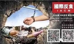 斯坦媒体爆料新闻最新,最新热点事件深度解析