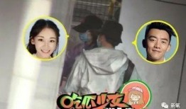 官宣狗仔爆料视频大全,视频大全背后的精彩瞬间