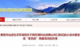 仙游县最新爆料