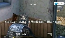 壮哥吃鸡爆料视频大全,揭秘热门游戏幕后精彩瞬间