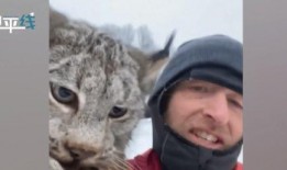 山猫爆料视频完整版,完整版内容深度解析