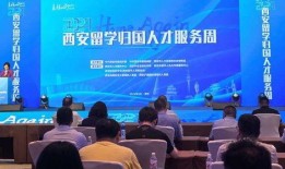 河南爆料西安新闻,揭秘西安最新热点事件