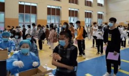 灵域娱乐爆料微博最新消息,揭秘神秘项目，敬请期待！