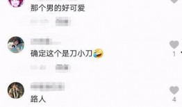 刀小刀爆料的视频,视频内容大揭秘